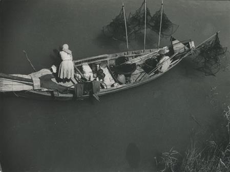 <b>Avieiros, no rio</b>