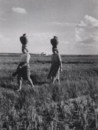 <b>Aguadeiras, no campo</b>